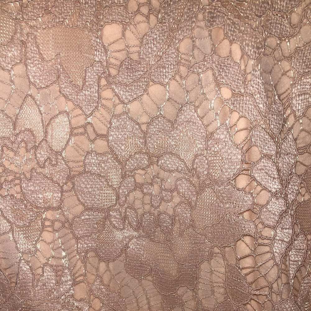 Brand New Gorgeous Women's Lauren Ralph Lauren Lace Formal Dress - Picture 13 of 15
